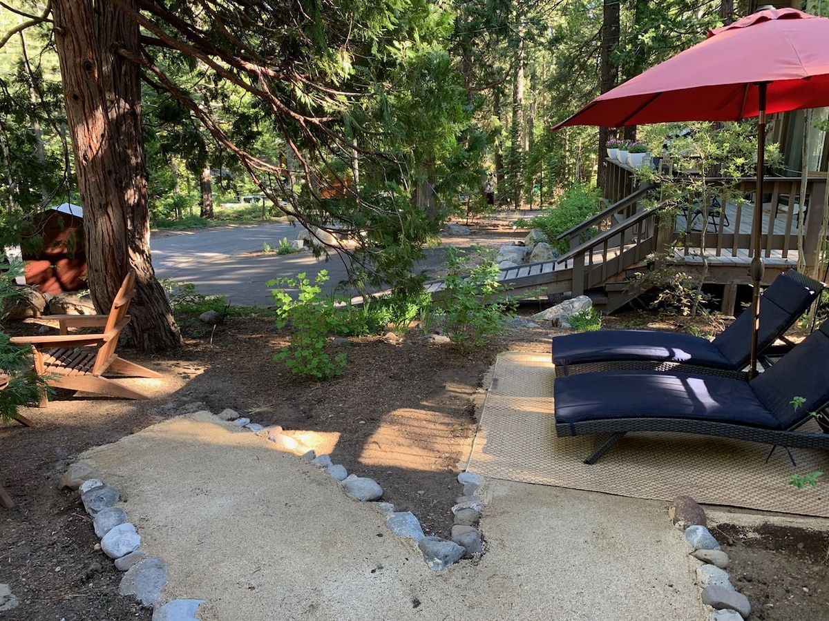 Outdoor lounge chairs and pathway in the front yard.